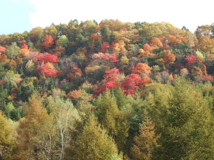 �Ȥ����줤