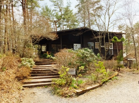 ½Ó¼ù¶¾Çþ¤·¤â¤µ¤«