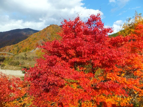 ���դ�������