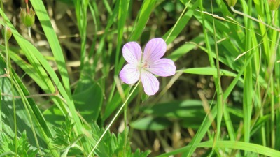 18���ϥ�����ե���