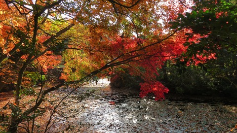 22�����դ򻶤餹��������