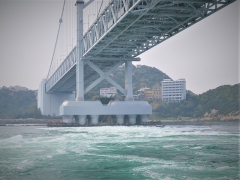 �������綶�ο����Ǳ�Ĭȯ��