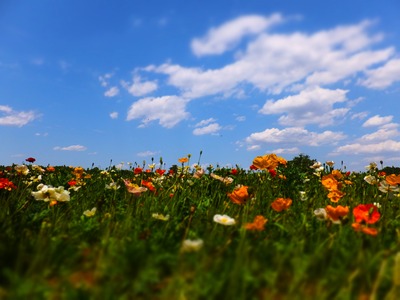 �ݥԡ����������褵����������