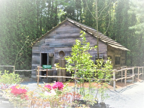 Ä«¥É¥é¡¦¤Ê¤Ä¤¾¤é¡¡»³ÅIJȤÎÇϾ®²°