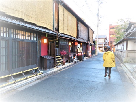 ¤¤¤¶¡ª¤ä¤Þ¤·¤¿¤Ø