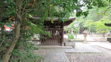 00¡¦¤ª¶Ì¤Î°æ¤ò²£¤«¤é