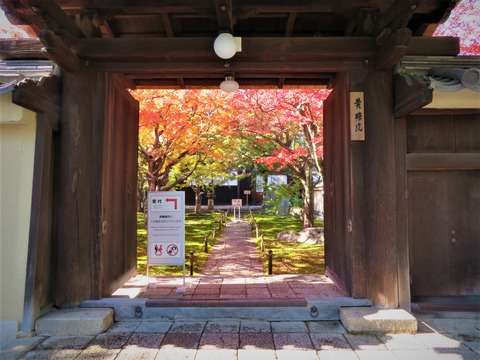 ���������߱�