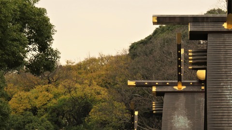 1��Ǯ�Ŀ����ܵܤȲ���