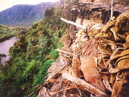 ����������ɥ����¤ˤ�������