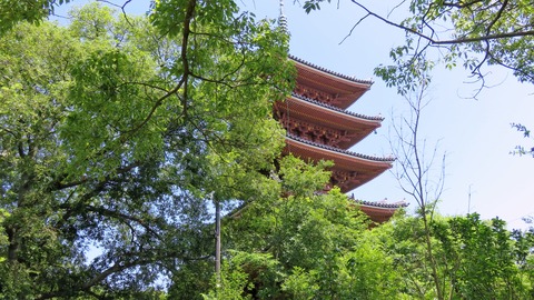 £µ¡¦»ÖÅÙ»û¸Þ½ÅÅã