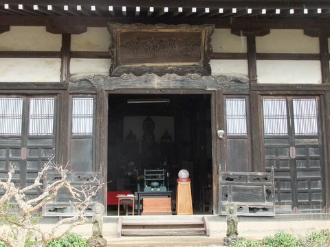 ��Ʋ������٨��