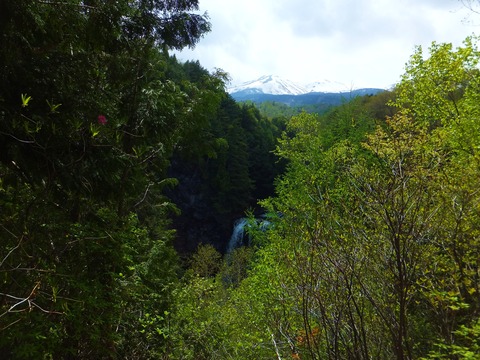 ����Ϻ����Ⱦ�ȳ�