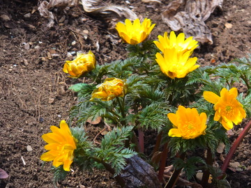 3��ʡ����