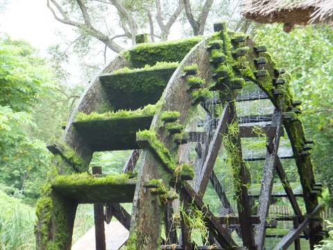 Â粦¤ï¤µ¤Ó±à¤Î¿å¼Ö