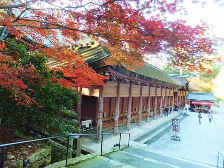 º¬ËÜÃæÆ²¤Ë¹ÈÍÕ