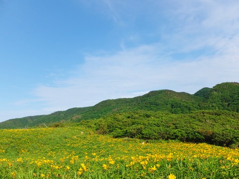 �ȥӥ��ޥ��󥾥��η���