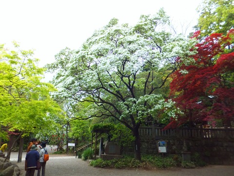 �Ĺ��դȹȹ��դ��Ƥ˹�����ɤʤ󤸤��󤸤��