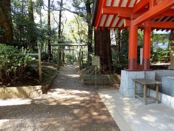 �����Ƥ��ݼҡ����һ���Ļ�郎