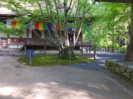 ��ǯ���������Ʋ