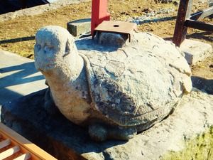 9・御旅所の亀の子石