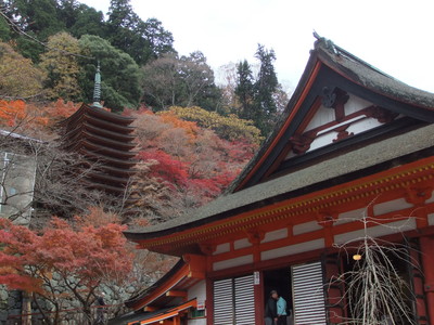 ��������ȹ���