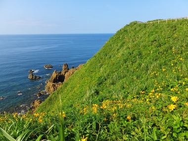 ���Ǥ��ݤޤǥ��󥾥��β֤�