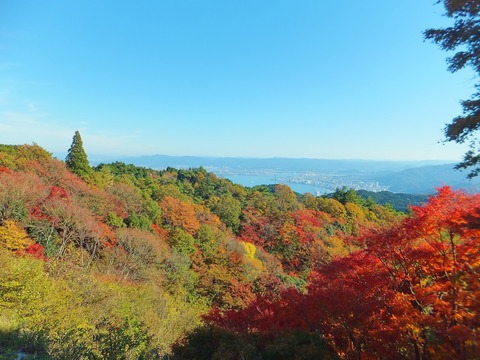 Å¸Ë¾Âæ¤è¤êÈüÇʸФò˾¤à