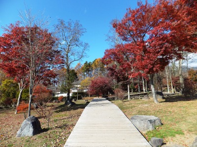 ��ʬ��ͯ�����