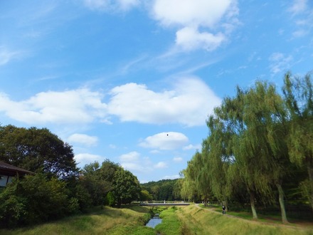 ����������ή�������