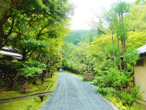 Î¥¤ìÁ°¤«¤éÊöÄê»û¤ÎÀµÌç¤ò