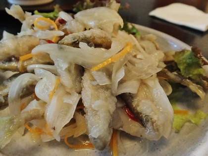 £¹¡¦¤ï¤«¤µ¤®¤ÎÆîÈÚÄÒ