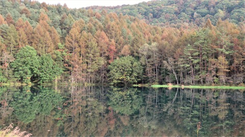 ��ͼ��Ӥι���̤����