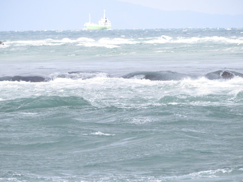 ���̤��ʺ�