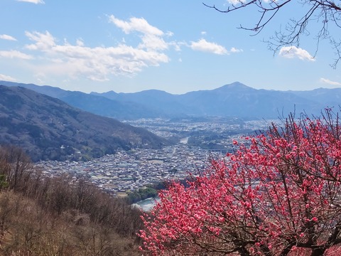 10�����ߤ���û�