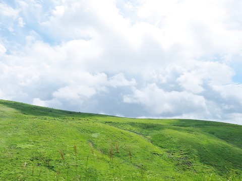 5���ղƤ�̸����������