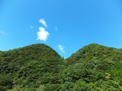 �Ĥ������Фλ��������餷��