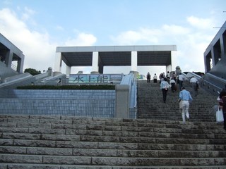 �ѥ�ƥΥ�¿��ο��ǽ�ظ������ѵ�