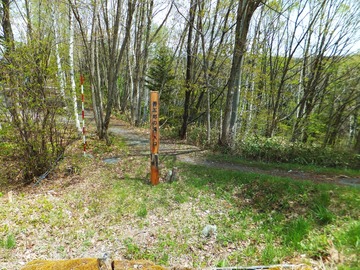 ����Ϻ���������ΰ���