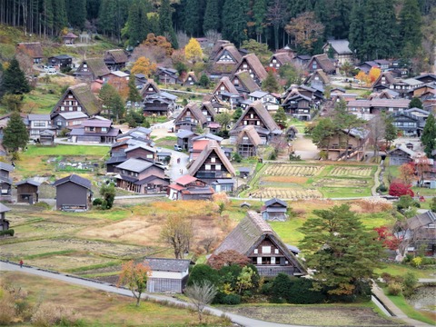 ������ι羸¤��