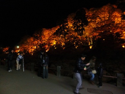 ���դ˹����륫���ޥ�