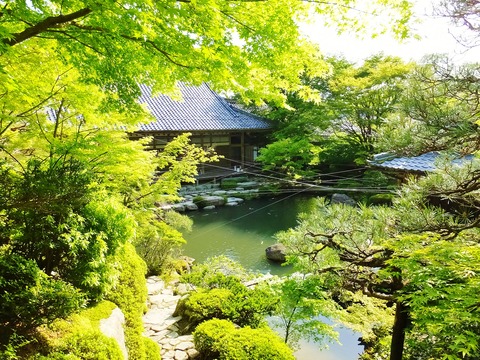 �����������������ͷ���������˷�ʽ񱡡�