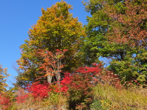 27����������ι���