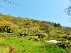 一般道より茶臼山を望む