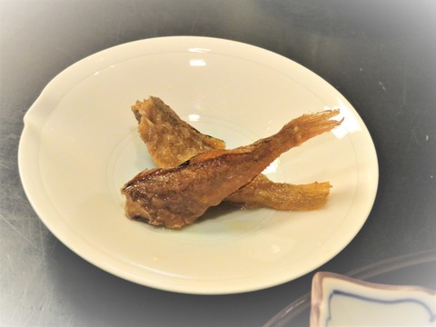 ¾®µû¤ÎÆîÈÚÄÒ¤±