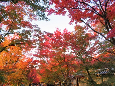 �ʴ�Ʋ���ռ���ο͡�