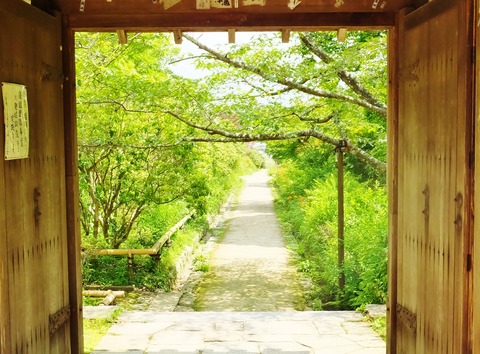 15�����礫��Ƥλ�ƻ��