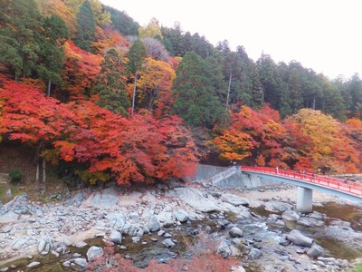 ���������������