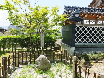 21�����������׸������