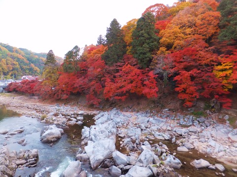 �����������ή��