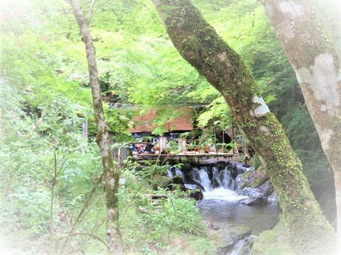 µ®Á¥Àî¤ËÀ߱Ĥµ¤ì¤¿Àî¾²